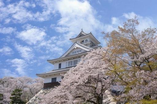 🏞️ 호 공원 (호코엔) 이미지 6